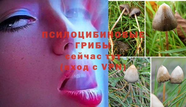герыч Баксан