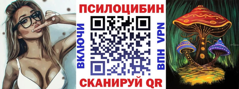 где купить наркоту  ОМГ ОМГ онион  Галлюциногенные грибы Psilocybine cubensis  Шацк 
